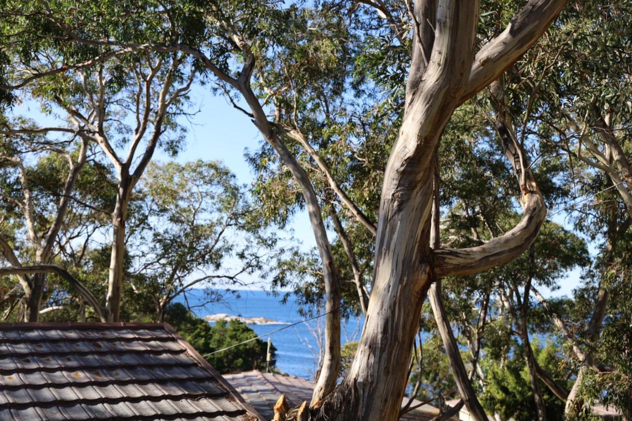 Hotel Bicheno By The Bay Exterior foto
